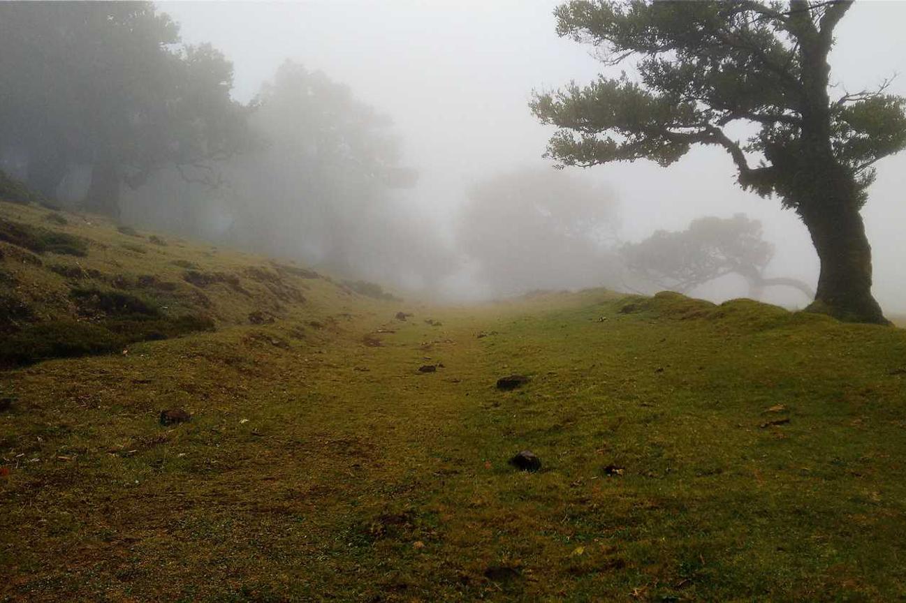 Rerum sunt vel dolorem rem odit quo suscipit dolores et porro asperiores reiciendis