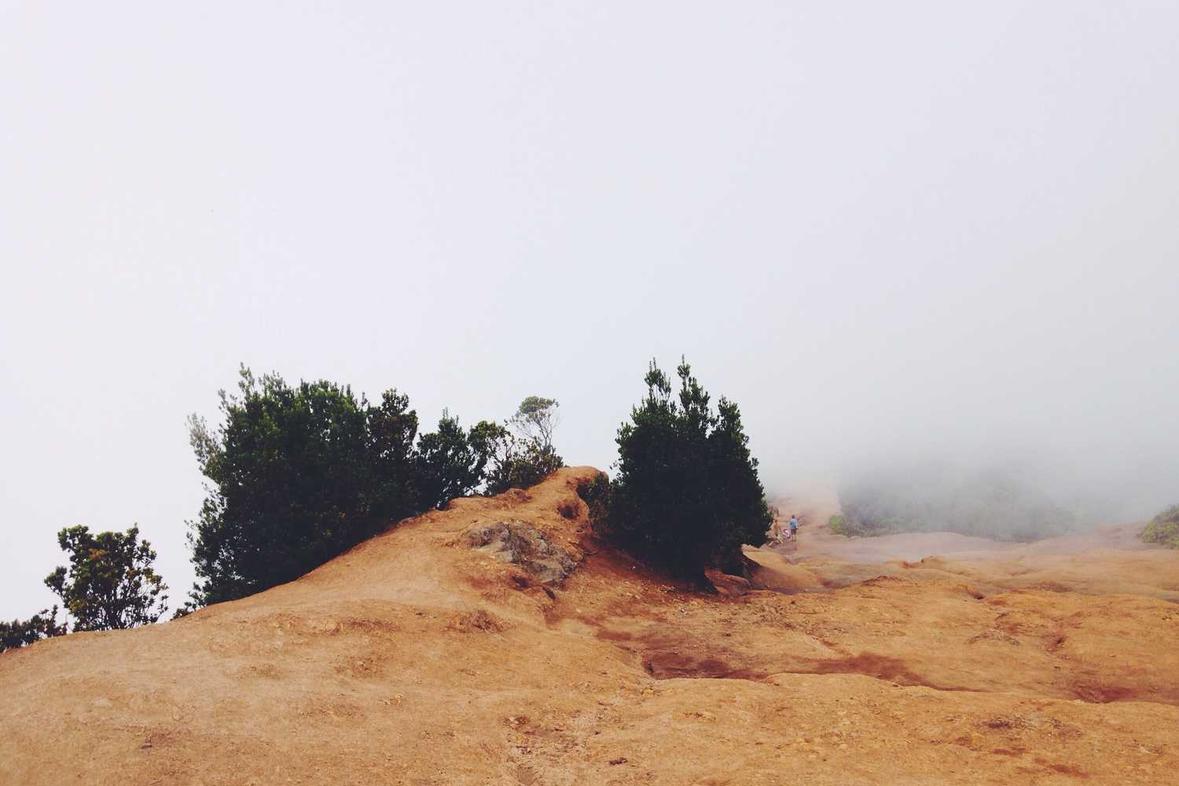 Quis natus harum similique iste