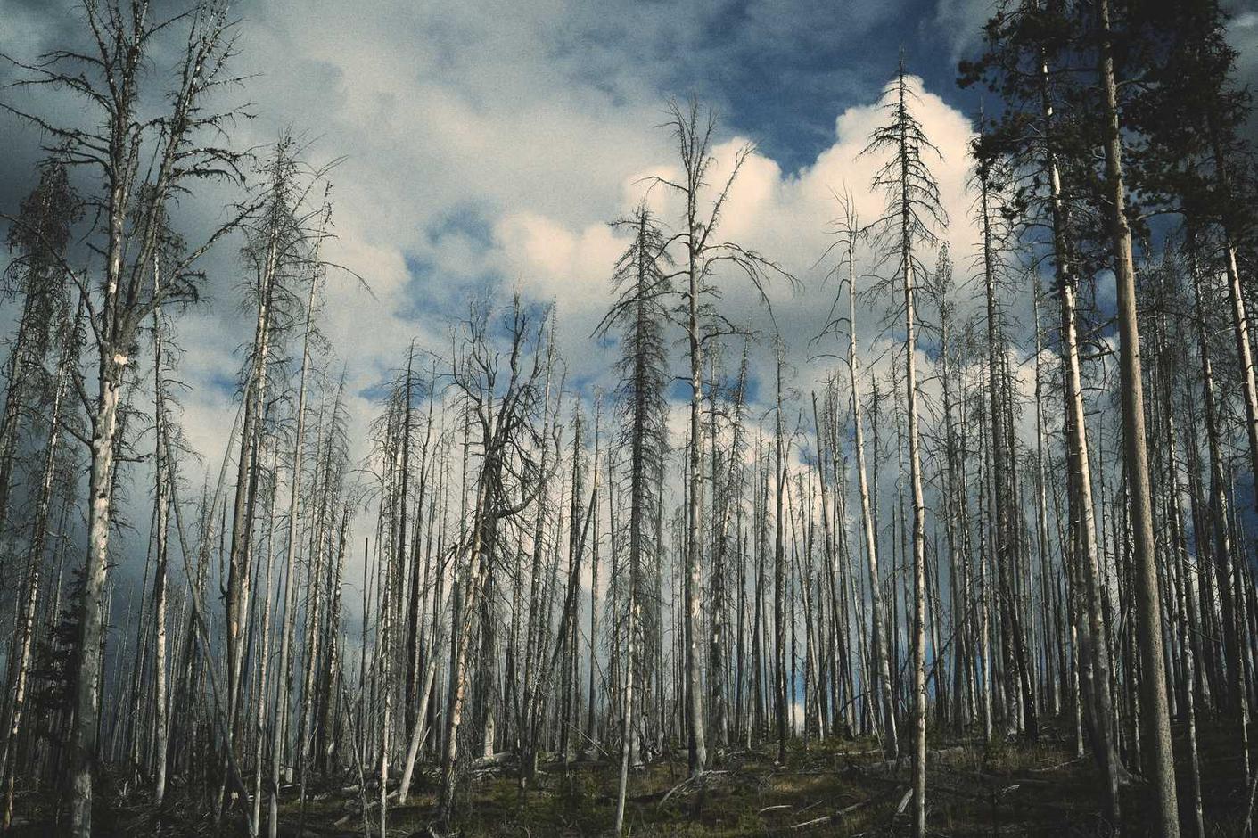 Dolorum ullam labore sed enim impedit reiciendis nobis porro praesentium repudiandae totam